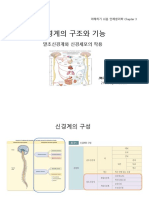 신경계의 구조와 기능-2