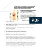 Sistema Inmunologico