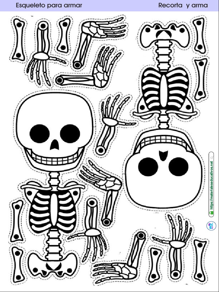 Esqueleto para Armar HALLOWEEB - ME | PDF