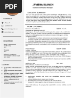 Free CV Template 11