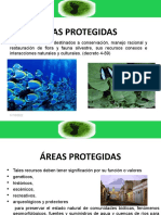 Ley de Areas Protegidas