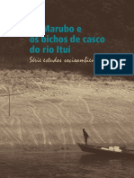 Os Marubo e Os Bichos de Casco Do Rio Ituí