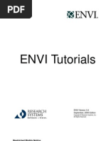 Download ENVI by pppp113577 SN60096076 doc pdf