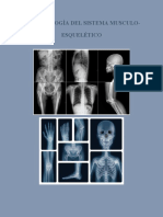 Imagenología Del Sistema Musculo