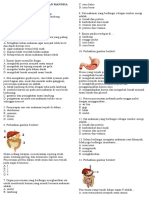 SOAL IPA SISTEM PENCERNAAN MANUSIA KELAS 8 Soal