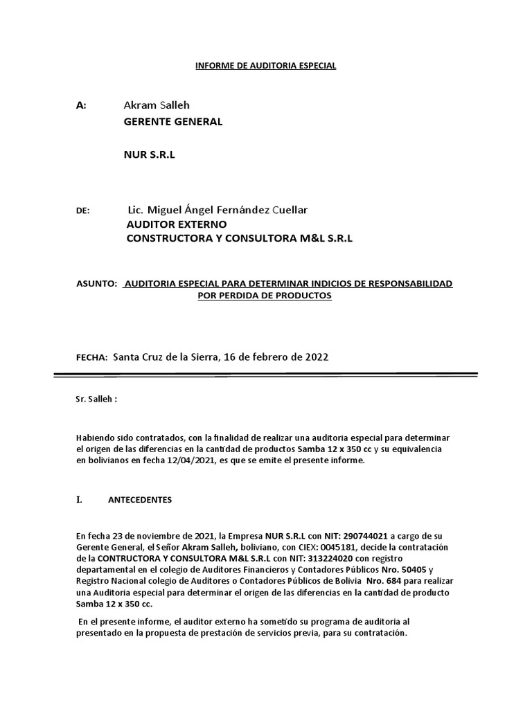 Auditoría Especial de NUR S.R.L. | PDF | Auditoría | Business