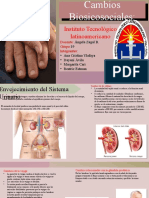 Cambios Biosicosociales