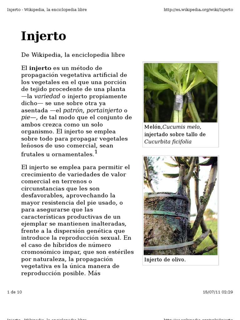 Tipos y técnicas de injertos en plantas | PDF | Injerto | Botánica
