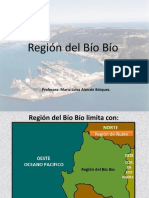 Region Del Bio Bio