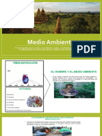 Medio Ambiente 1