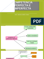 Competencia Perfecta e Imperfecta