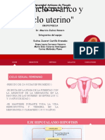 Presentacion Ciclo Ovarico y Uterino