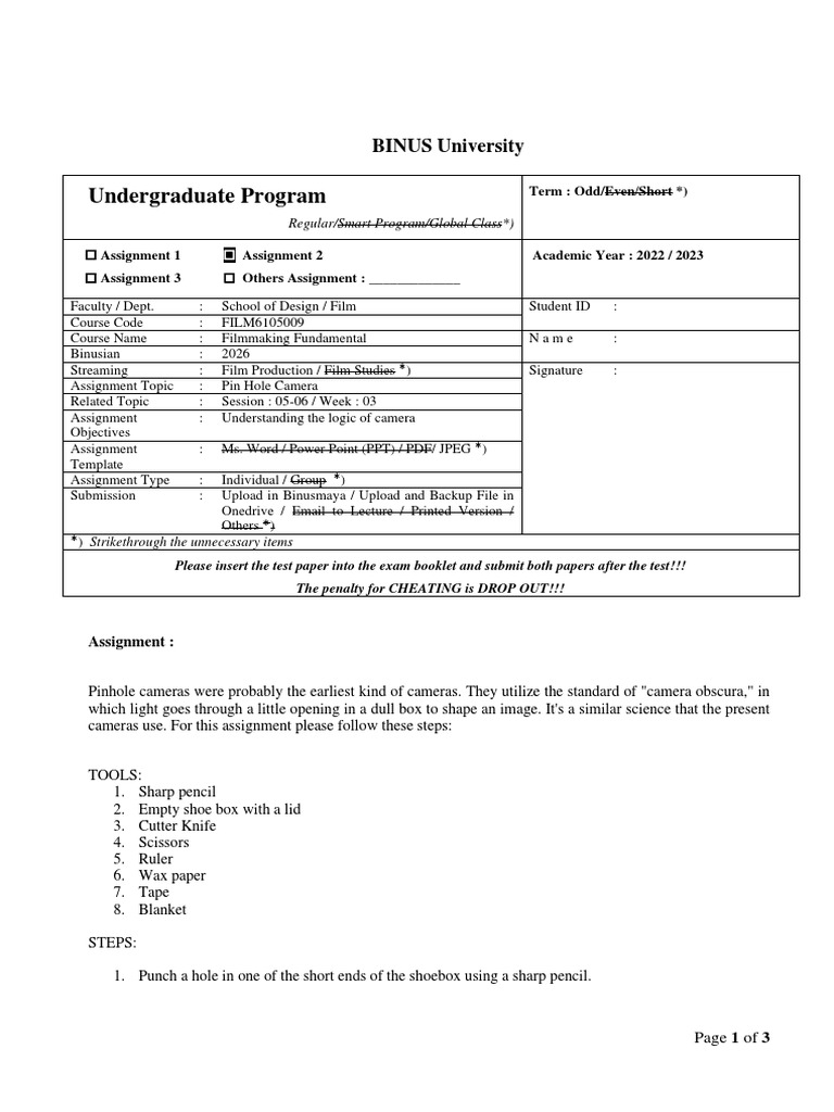 Pinhole Camera Assignment Guide | PDF | Camera | Computing