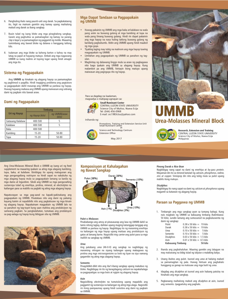 UMMB UreaMolasses Mineral Block (Tagalog) PDF