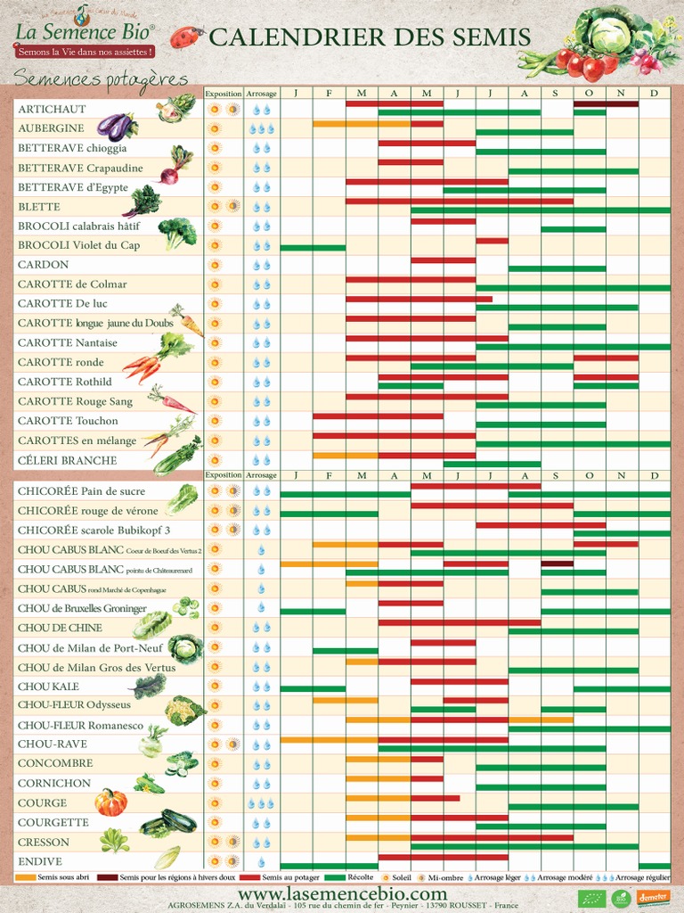 2021 Calendrier Semis La Semence Bio | PDF