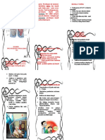 Leaflet Bronco Pnemonia