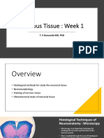 Week 1 Nervous Tissue