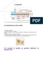 Sommeil, Les Rythmes Le Train Du Sommeil