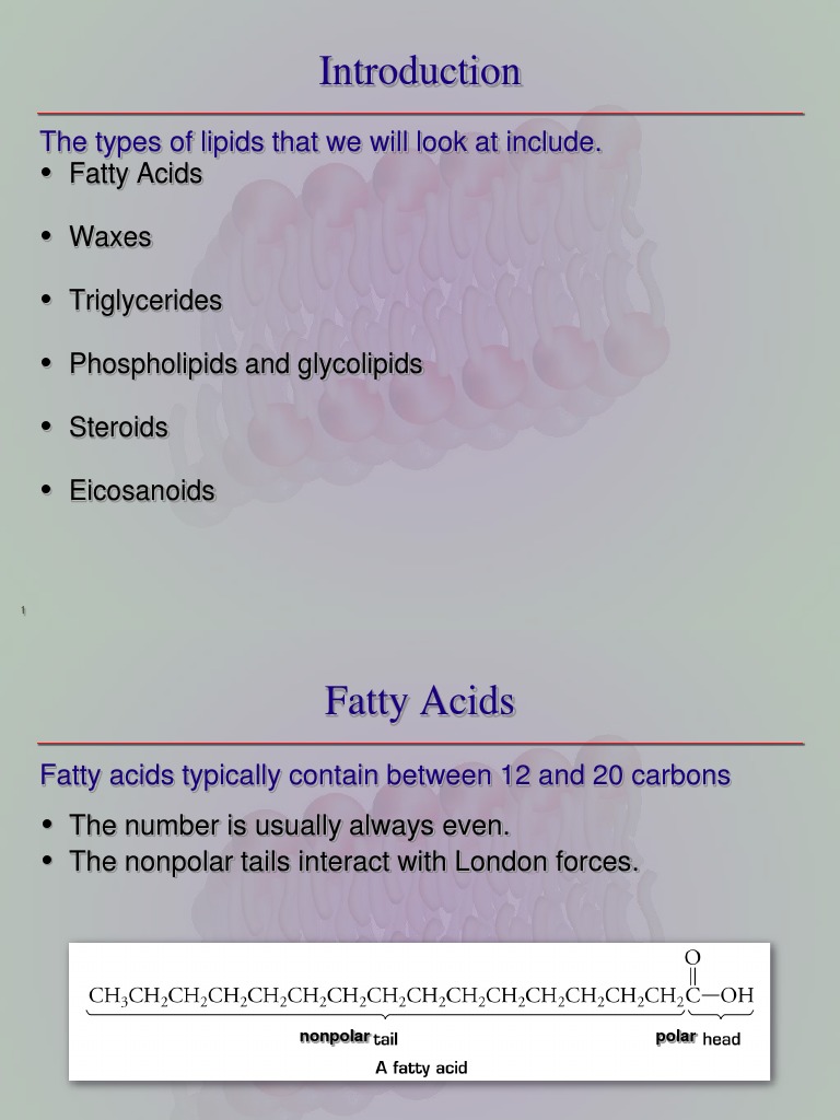 Unit5Intro Lipids (Student Copy) PDF Lipid Fatty Acid