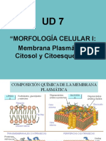 07 - La Célula II