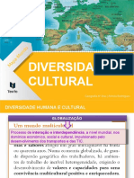 Diversidade Cultural e Globalização