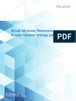 IAEA SMR Booklet - 22-9-22 - New Energy Paradigm