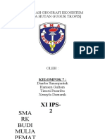 Makalah Geografi Ekosistem