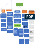 Mapa Conceptual 3