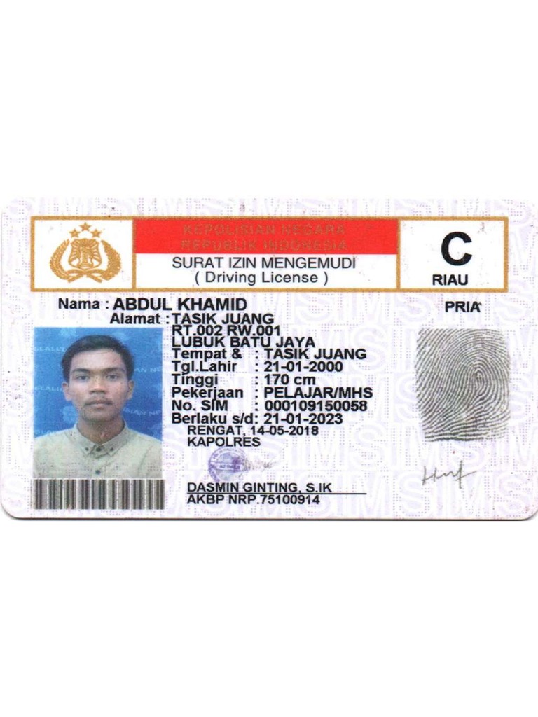 Sim C | PDF