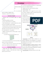 Proteínas: estruturas e funções essenciais