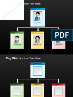 Org Chart Examples