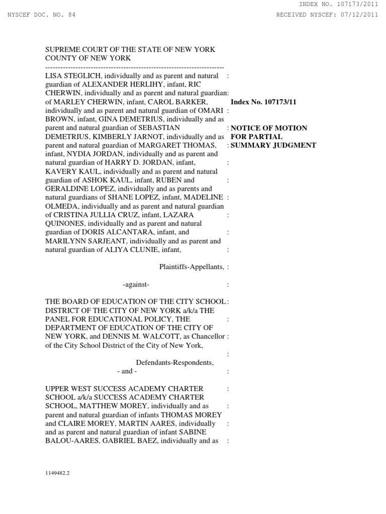 Motion for Partial Summary Judgment | PDF | Public Sphere | Judiciaries
