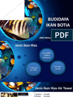 Materi Minggu Ke II - Budidaya Ikan Hias Botia