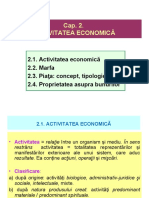 Cap 2-M-Activitatea Economica