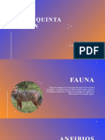 Fauna Quinta Región