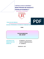 "Año Del Buen Servicio Al Ciudadano" Universidad Privada de Huancayo "Franklin Roosevelt