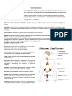 Sistema Endócrino