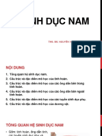 Hệ sinh dục nam