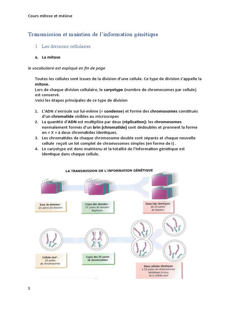Kit De Laboratoire De Biologie NEO SCI AP #3 – Enquête Sur La Mitose Et La Méiose