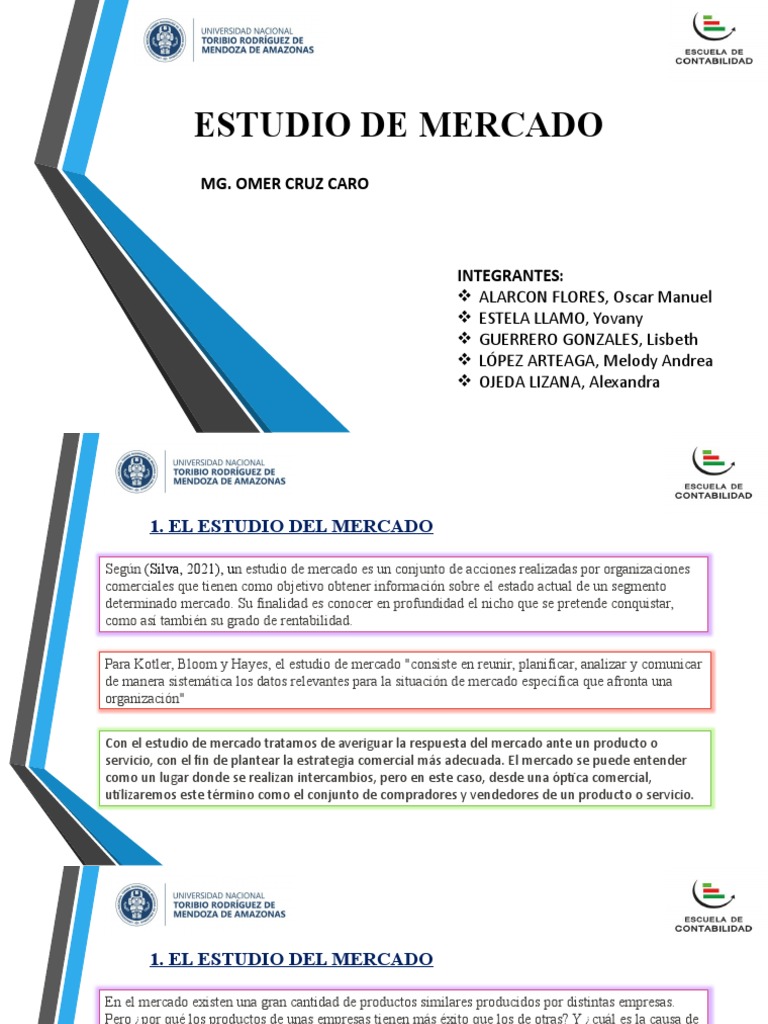 Estudio de Mercado | PDF | Mercado (economía) | Investigación de mercado
