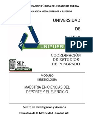 Faja de cinturo ligera para mujer, faja para el vientre, faja moldeadora  para el cuerpo, faja para el control de la barriga, envoltura, soporte Piel  Salvador Fajas para mujeres