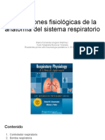 Implicaciones fisiológicas del sistema respiratorio