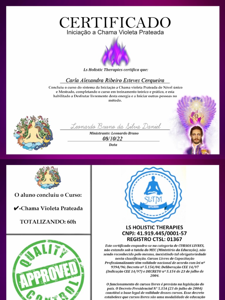Carla Alexandra Ribeiro | PDF