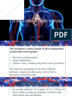 Week 3 Human Circulatory System