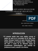 Analisis de Situacion de Salud de Punta Gorda