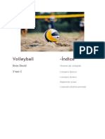 Volleyball - Guía completa con reglas, historia y conceptos