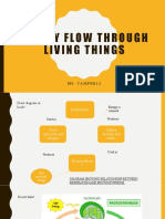 Energy Flow Through Living Things