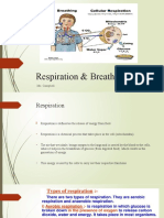 Respiration & Breathing Explained