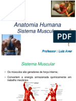 A5 Sistema Muscular introdução e membro superior  em PDF