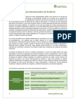 Normas Internacionales de Auditoría: Principios Y Responsabilidades Globales